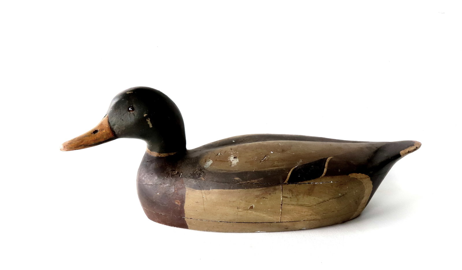 An oversized mallard decoy, hollow construction, glass eyes, in original paint, circa 1920-50. The: An oversized mallard decoy, hollow construction, glass eyes, in original paint, circa 1920-50. The bottom appears to be sanded, partial signature still visible, else very good condition. Measures 20 1