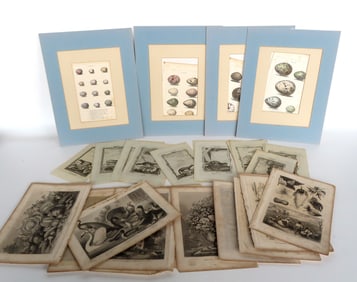 A grouping of early engravings, book plates, including: 16 of wild animals on laid paper, late 18th