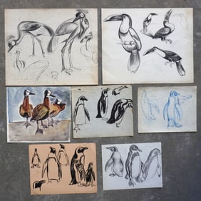 Walter Addison, New York, 1914-1982. Grouping of 7 pages of wild bird sketches, most in charcoal and