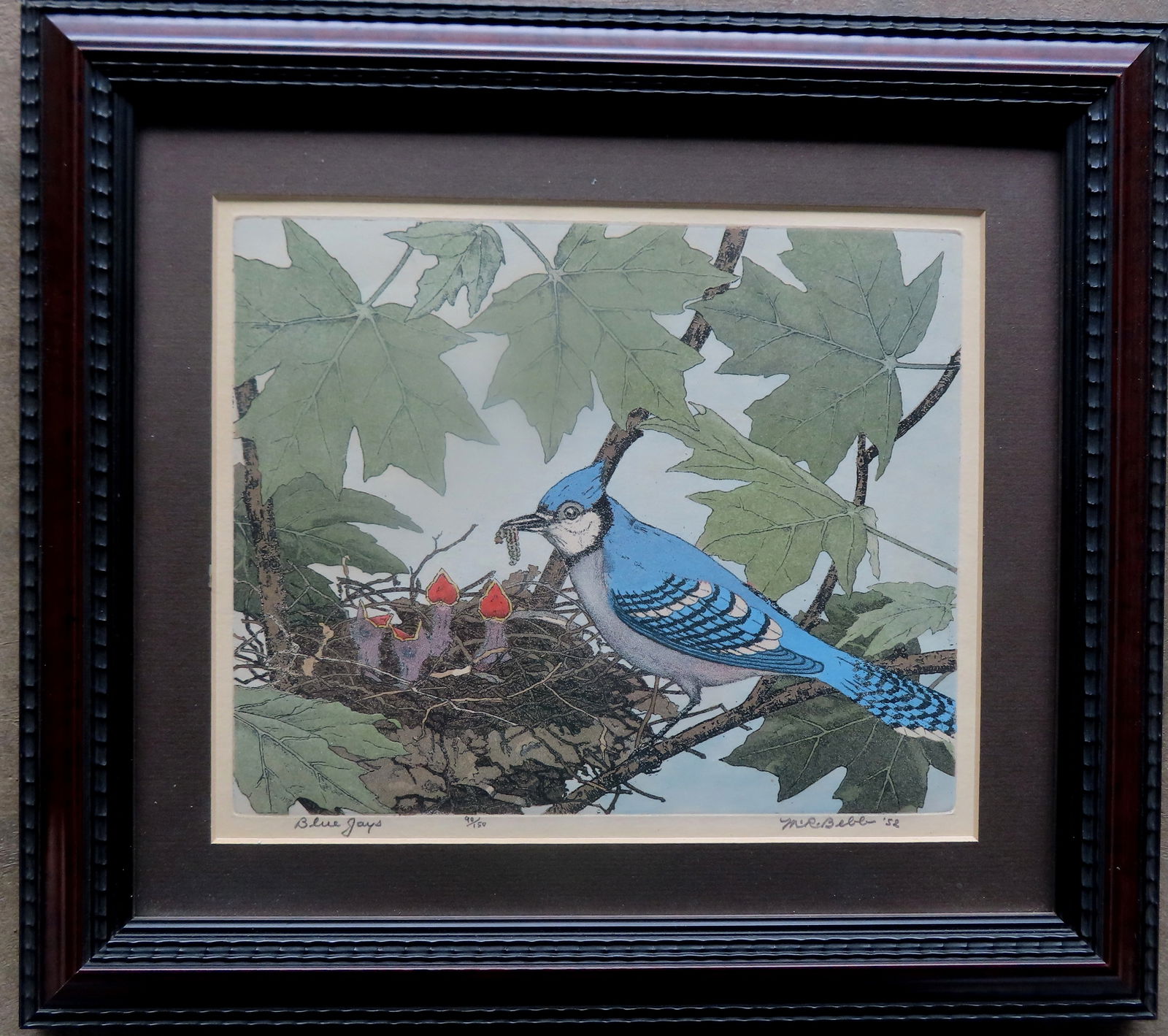 Maurice R. Bebb (American 1891-1986). A limited edition aquatint etching of a "Blue Jay" feeding her: Maurice R. Bebb (American 1891-1986). A limited edition aquatint etching of a "Blue Jay" feeding her young in nest, pencil signed M.R. Bebb '52 - edition 90/150. Professionally framed and matted and i