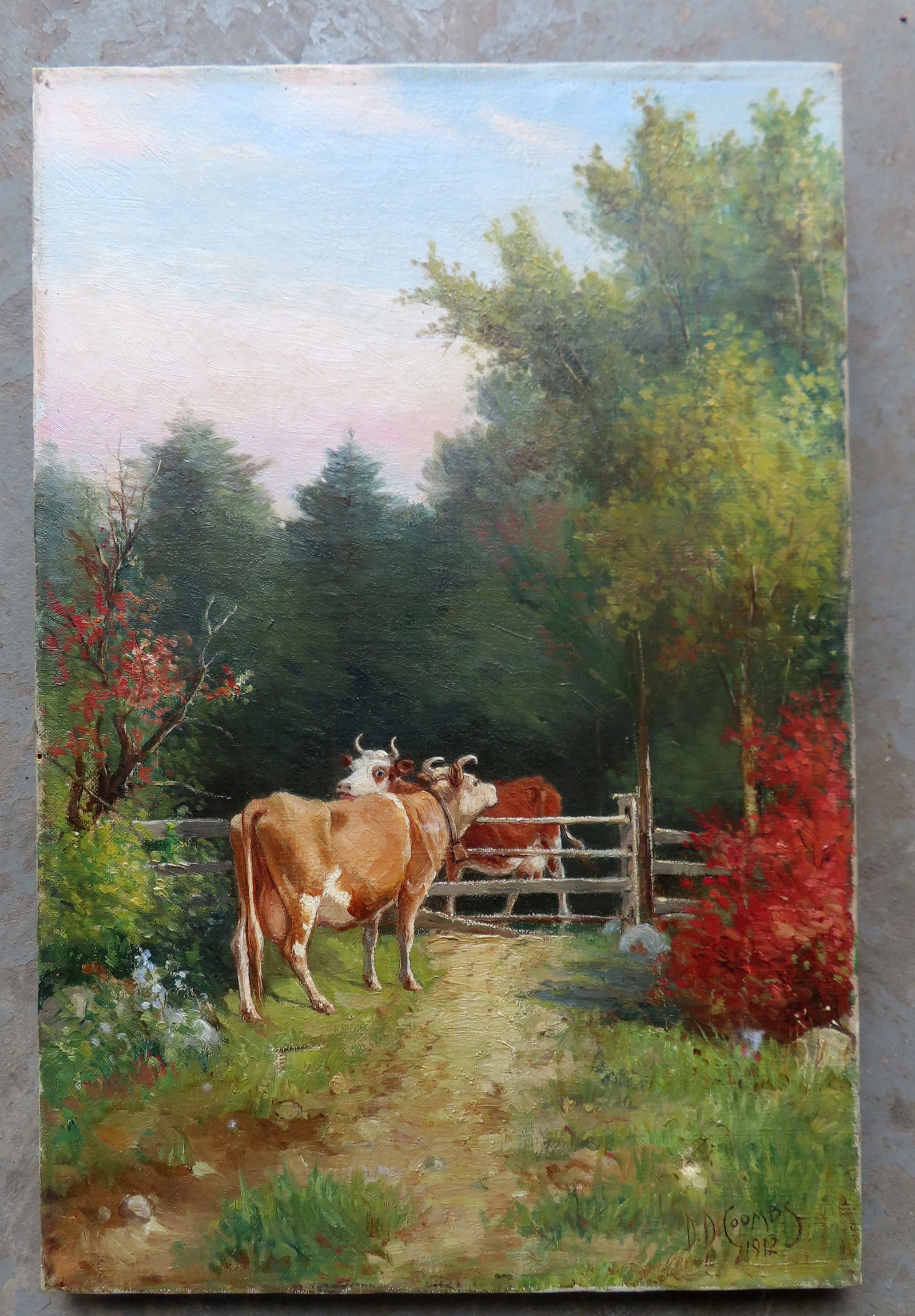 Delbert Dana Coombs (1850 - 1938) was active/lived in Maine. O/C Portrait of 2 cows standing by: Delbert Dana Coombs (1850 - 1938) was active/lived in Maine. O/C Portrait of 2 cows standing by fencing, signed "D.D. Coombs / 1902" -not framed - small 3/4" L-shaped tear in canvas, else good conditi