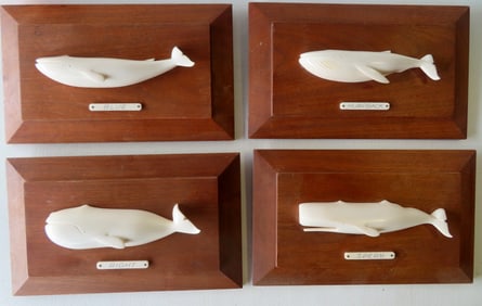 Aletha Macy, Nantucket Massachusetts 1901-1971. A set of 4 ivory wall plaques of whales