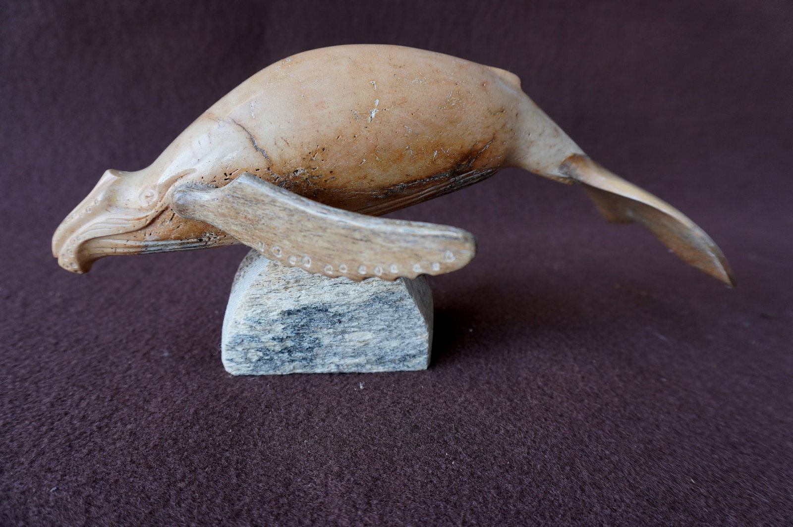 A polished whalebone sculpture of a Right Whale. Light patina, minor staining - circa 1950. Not sign: A polished whalebone sculpture of a Right Whale. Light patina, minor staining - circa 1950. Not signed but in good condition. Measures 9 1/2"L x 5 1/2"W x 4 5/8"H. Provenance: From the estate of Jeff 