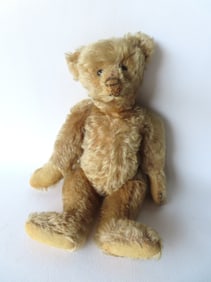 A Steiff mohair Teddy Bear with blank button in ear, long snout, hand sewn nose, eyes appear to be