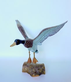 A very fine Mallard Duck carving in original paint in a landing position with outstretched wings,