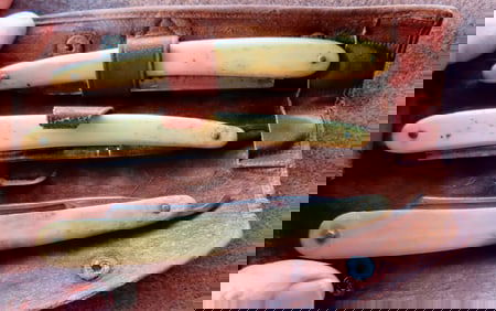 Three straight razors with animal horn and bone handles, circa late 19th to early 20th century. Two