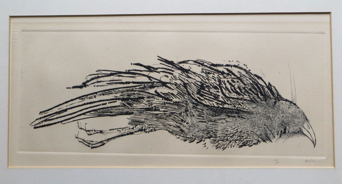Limited edition print of dead bird, pencil signed Baski: Limited edition print of dead bird, pencil signed Baskin - 25/50 - (Leonard Baskin - NY/Mass. 1922 - 2000) - 7.5" x 15.5"