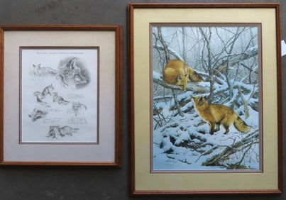 Two fox prints signed Bonnie Marris (American, 20/21st century) professionally framed and matted.