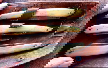 Three straight razors with animal horn and bone handles, circa late 19th to early 20th century. Two