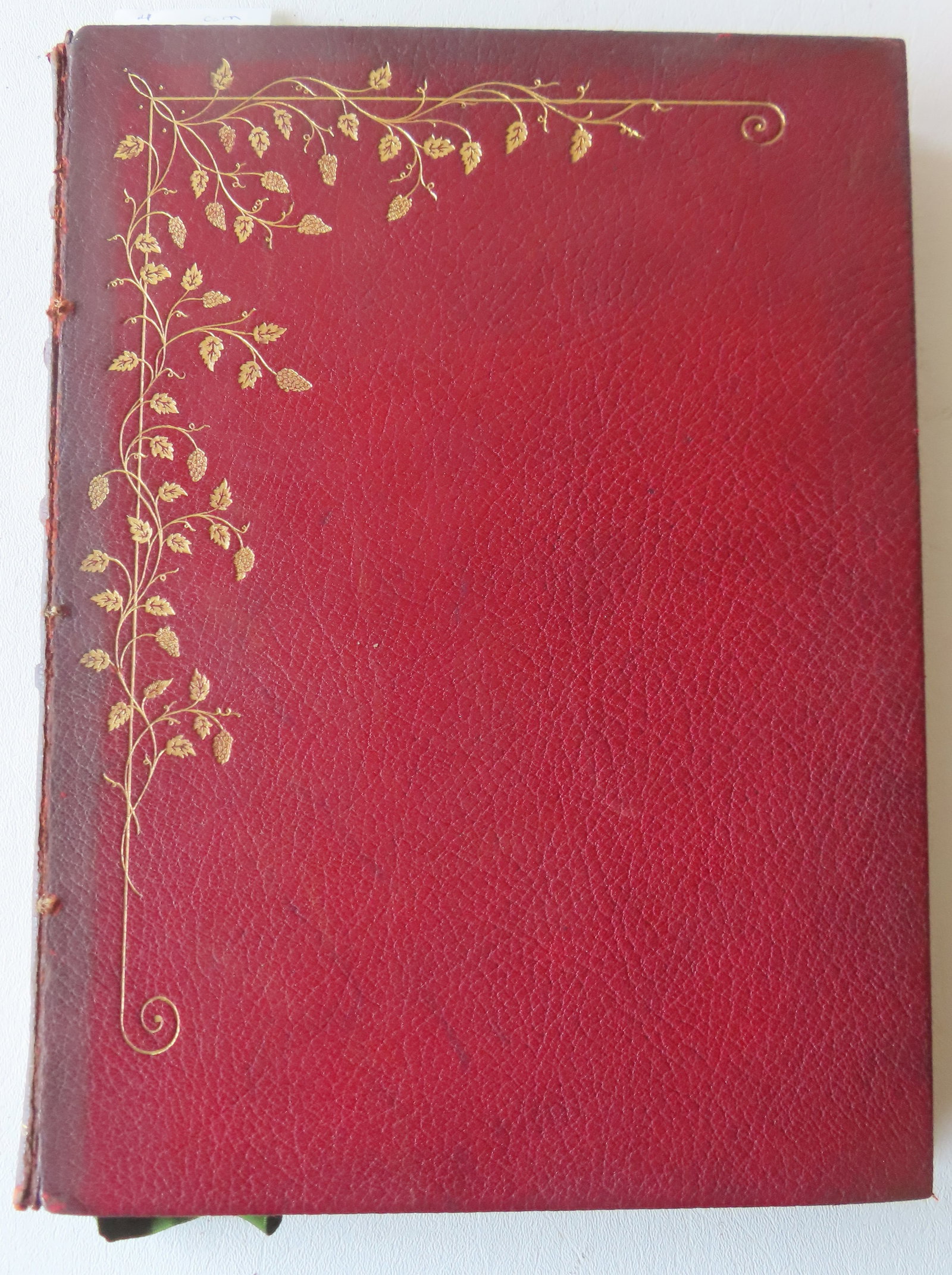 "The Tippler's Vow" by Lee Fairchild with 26 original dry-points (some erotic) by Jan Paleologue,: "The Tippler's Vow" by Lee Fairchild with 26 original dry-points (some erotic) by Jan Paleologue, and published by Croscup & Sterling Company, New York in 1901, first edition. Marked "Special Section 