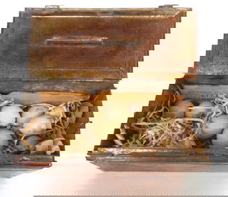 A foldup 19th c. tin egg box currently housing 10 old unhatched bird eggs, circa 1916.