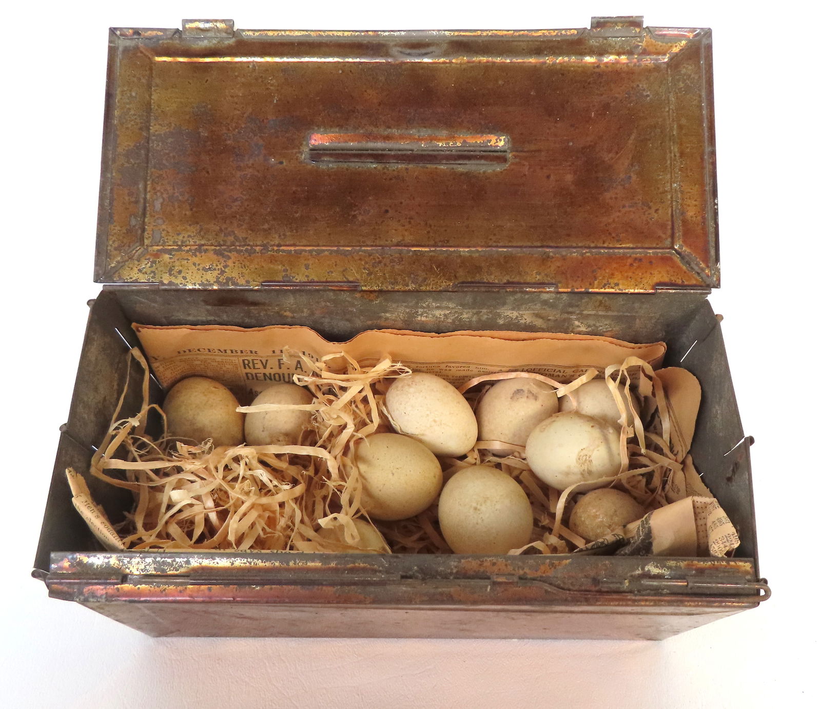 A foldup 19th c. tin egg box currently housing 10 old unhatched bird eggs, circa 1916. (1 of 4)