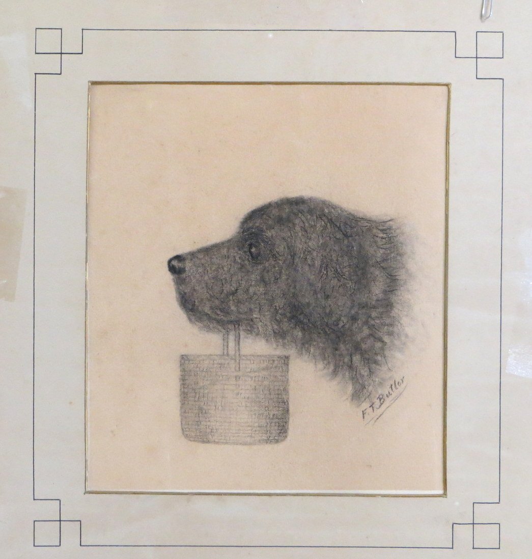 Charcoal portrait of dog holding basket in mouth signed: Charcoal portrait of dog holding basket in mouth signed F. T. Butler. Late 19th century - not framed - 7" x 8".