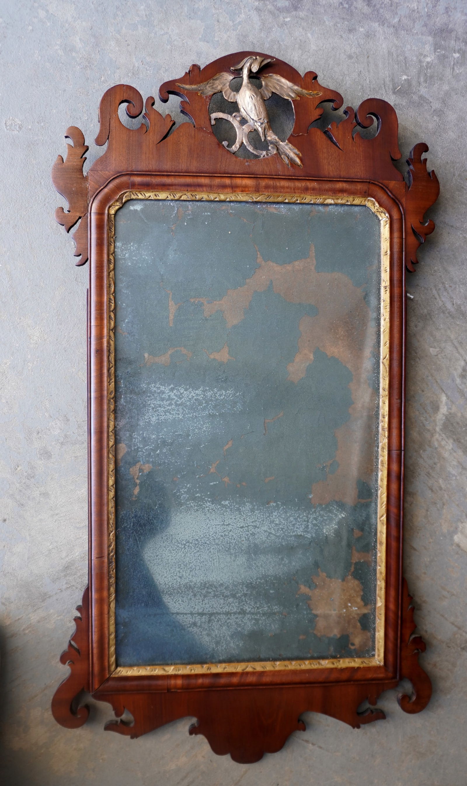 A Chippendale mahogany wall mirror with carved open work gilt wood Phoenix bird crest and having a (1 of 7)