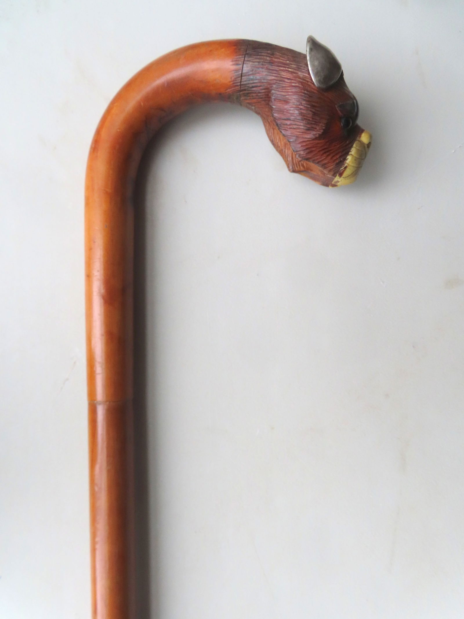 A wooden walking stick, having a carved wooden Boxer dog head handle with silver ears and silver - 10