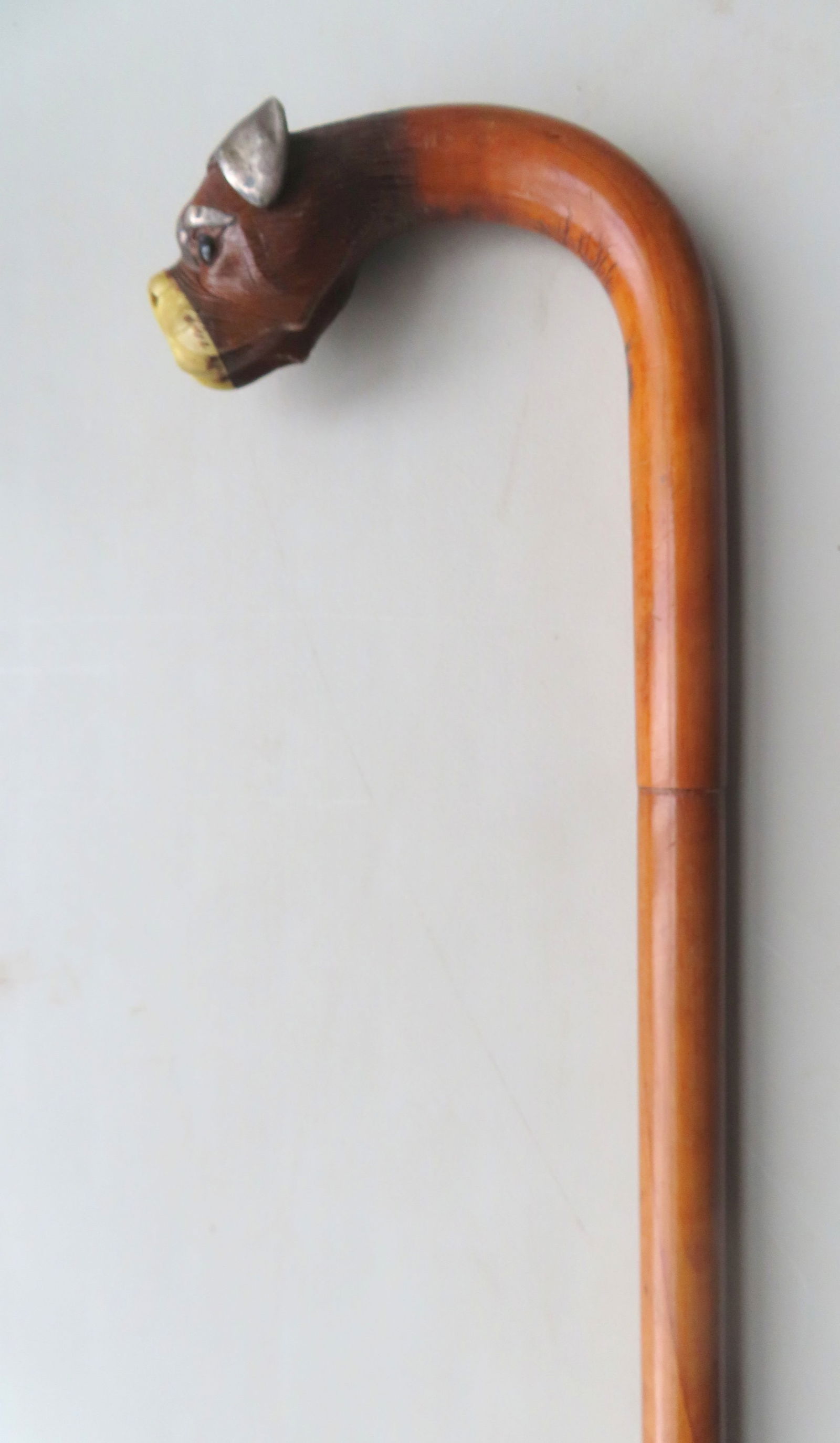 A wooden walking stick, having a carved wooden Boxer dog head handle with silver ears and silver - 13