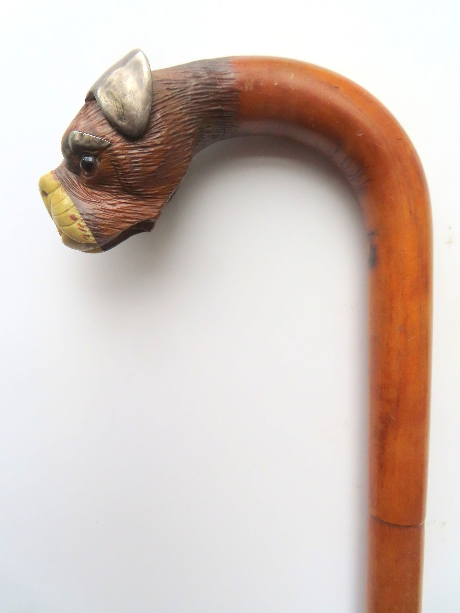 A wooden walking stick, having a carved wooden Boxer dog head handle with silver ears and silver: A wooden walking stick, having a carved wooden Boxer dog head handle with silver ears and silver eyebrows, glass eyes, and has a carved bone nose and mouth which appears to be bone - the wooden shaft