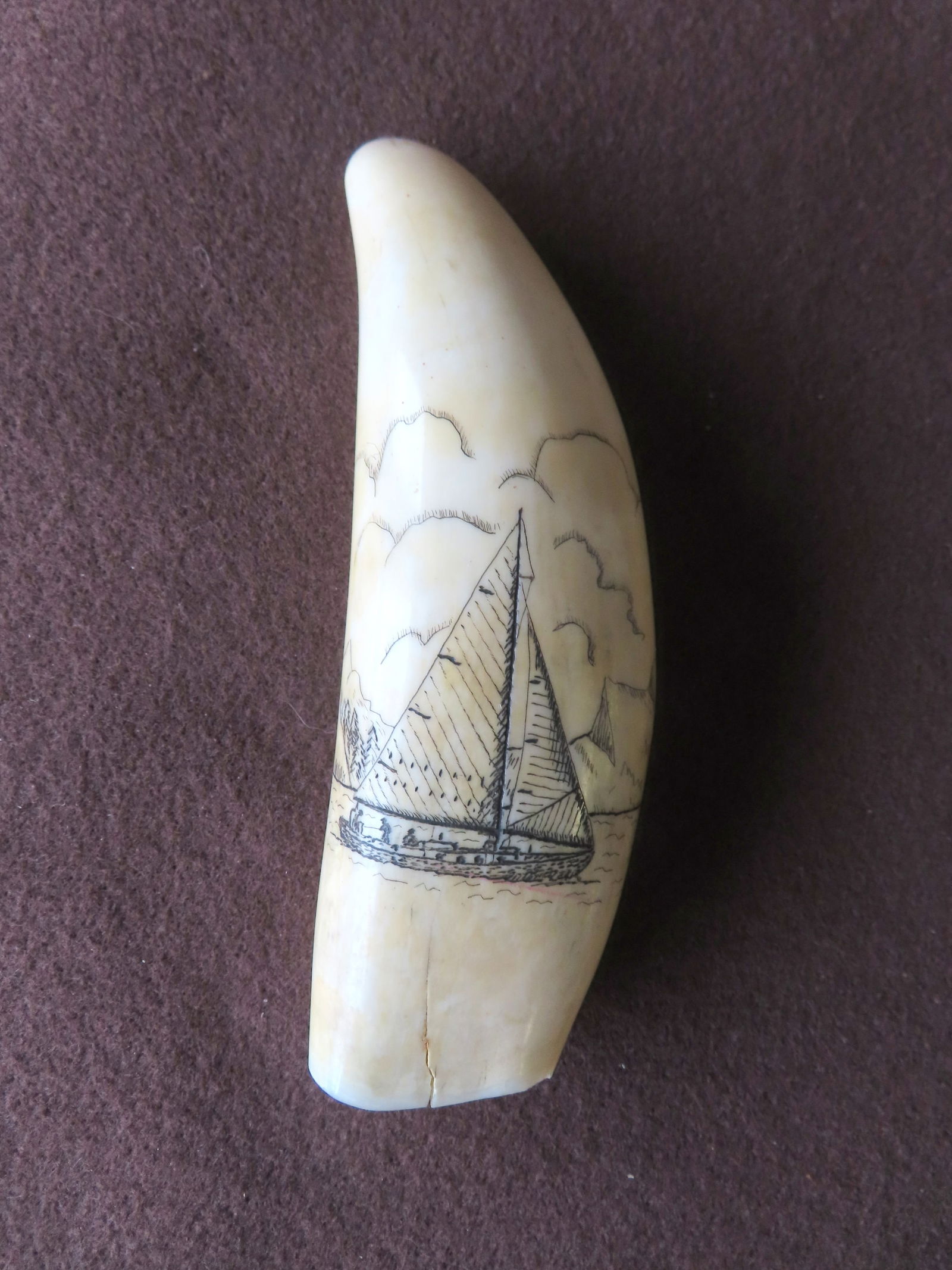 A scrimshaw whale tooth, depicting a military cutter with sailors on board, and appears to have 4: A scrimshaw whale tooth, depicting a military cutter with sailors on board, and appears to have 4 cannons on starboard, and billowing clouds in background, late 19th century - 6"L. Condition: The toot