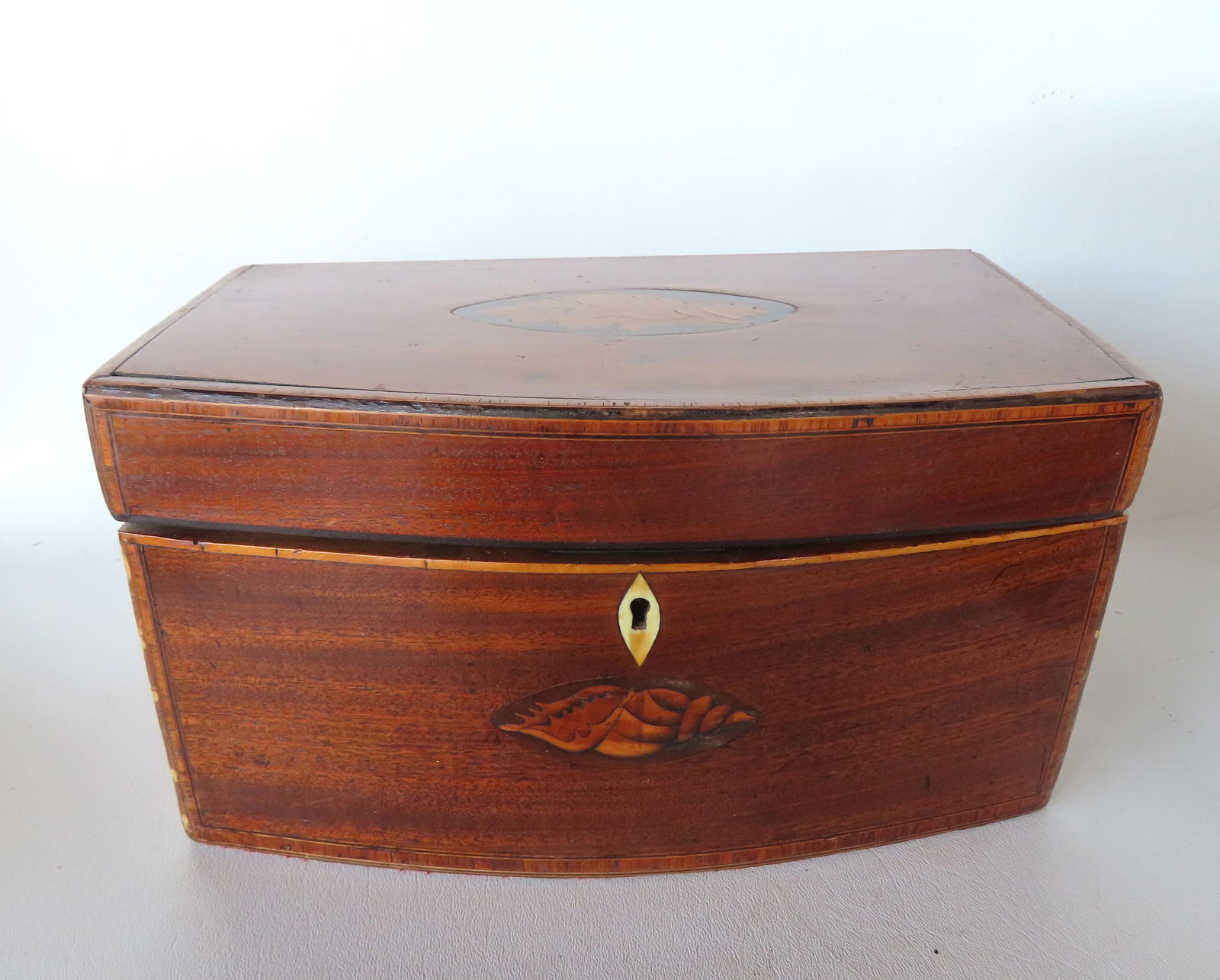 An early mahogany bow front tea caddy with inlaid conch shell on both the lid and front under escutc: An early mahogany bow front tea caddy with inlaid conch shell on both the lid and front under escutcheon, and the borders with banded inlays, early 19th century. Condition: The 3 lids covering the tea