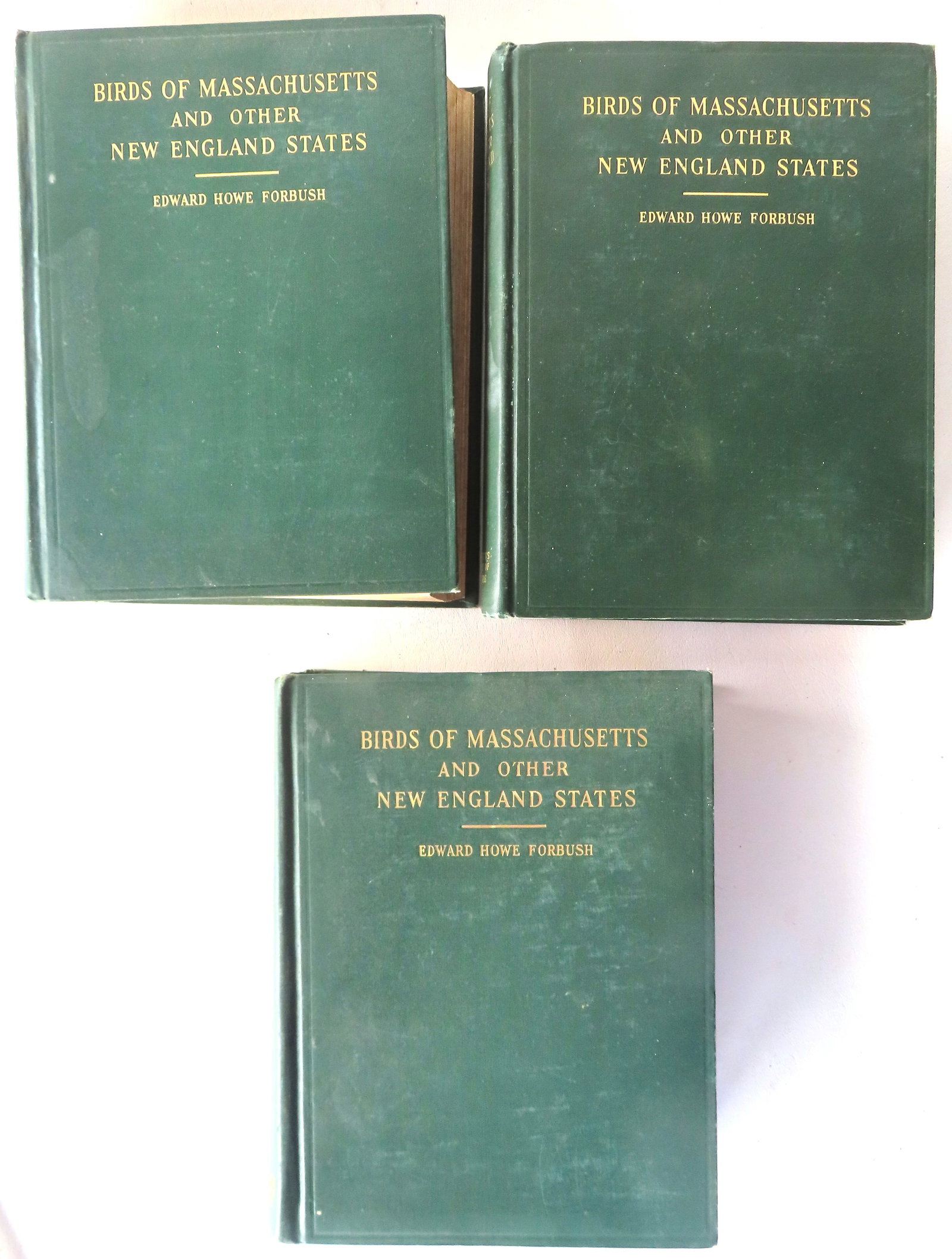 Three volumes "Birds Of Massachusetts And Other New England States" by Edward Howe Forbush, (1 of 20)