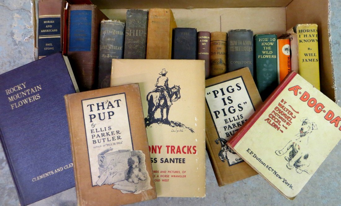 Good lot of old books including wild flowers, sailing: Good lot of old books including wild flowers, sailing ships, butterflies, "A-Dog-Day" illustrated by Cecil Aldin 1919, "Around the World in the Yacht Sunbeam" 1st edition 1879, Ship's and How They Sai