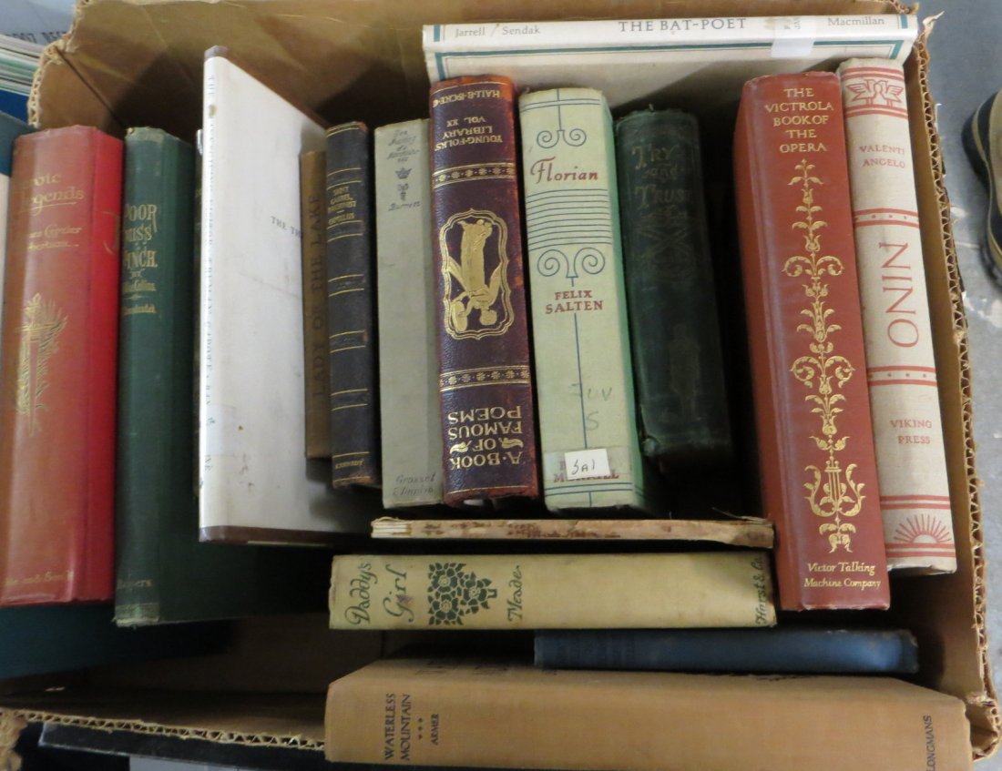 Collection of 18 books including "The Squirrel Inn": Collection of 18 books including "The Squirrel Inn" illustrated by A.B. Frost 1897, The Wonderful Adventures of Paul Bunyan, Heroic Legends with 16 colored plates by Helen Stratton 1908, Poor Miss Fin