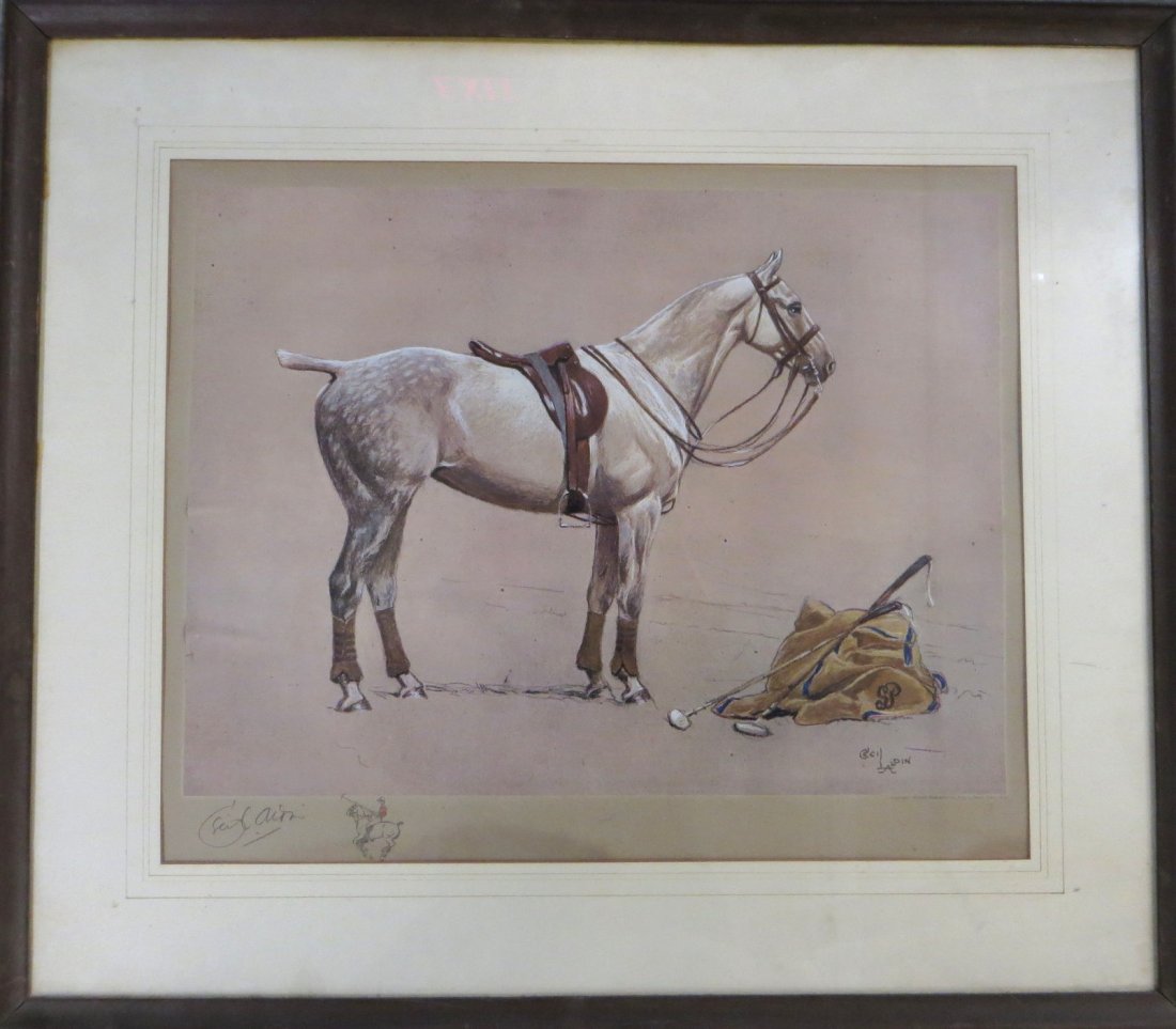 Hand colored Lithograph of a Polo Pony by Cecil Aldin: Hand colored Lithograph of a Polo Pony by Cecil Aldin pencil signed in lower left corner Copyright by Wellbrook Publishing. Overall good condition 20.75 X 16.75