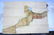 Historically important collection of approximately 40 - 7