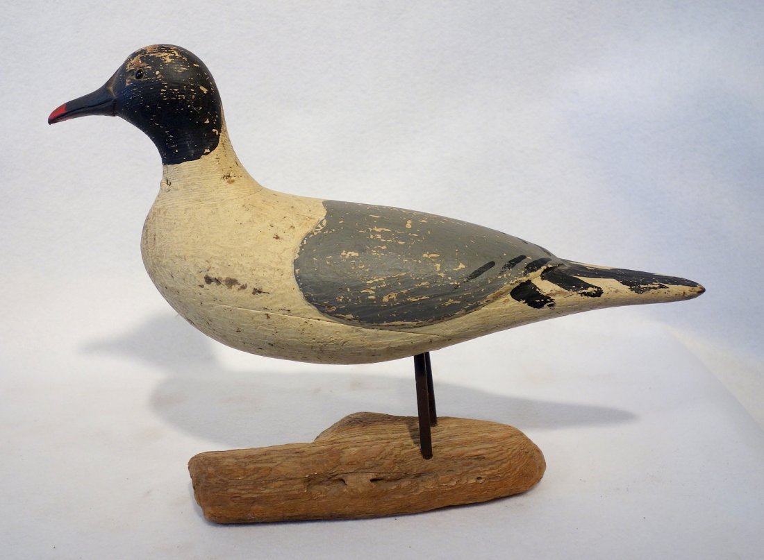 Outstanding seagull confidence decoy with glass eyes, (1 of 7)