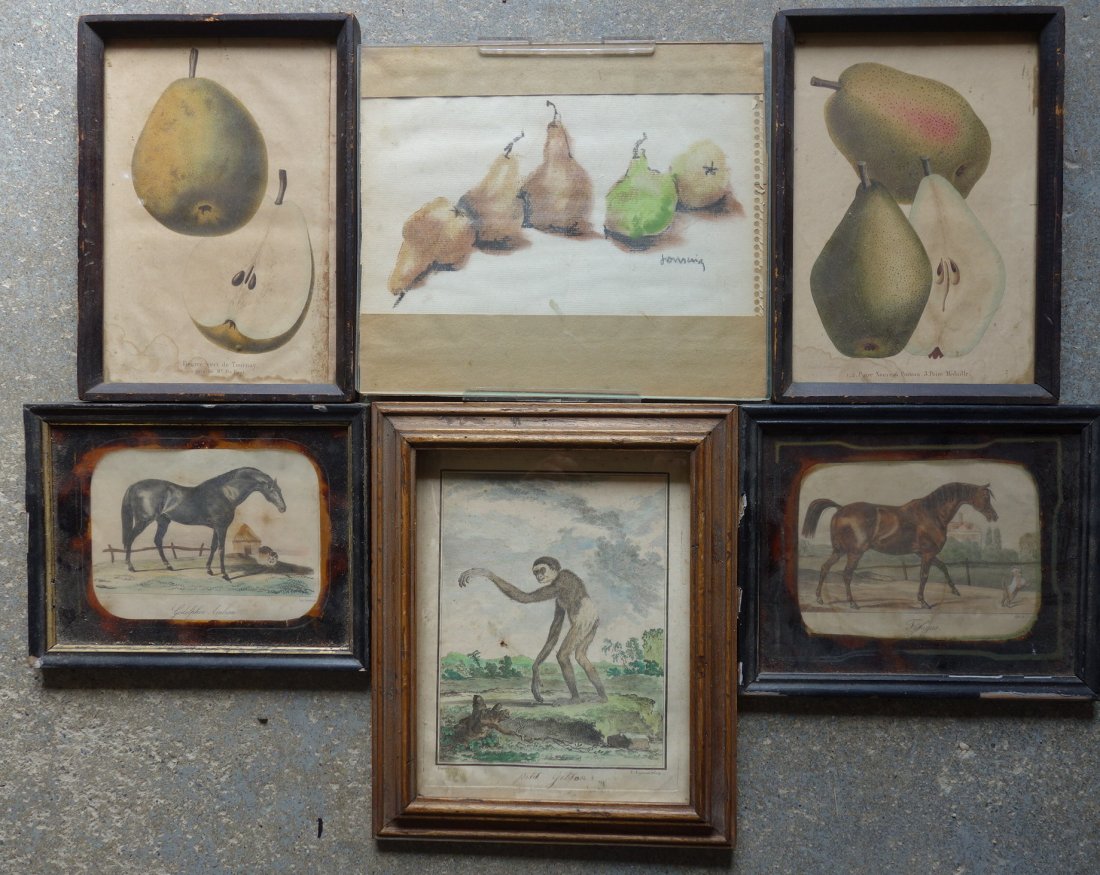 Grouping of artwork including: A pastel of pears signed: Grouping of artwork including: A pastel of pears signed illegibly, 5 1/2" x 10" in good condition; two hand colored horse lithographs by Lenerger entitled "Godolphine Arabian" & "Firagus", both are 6"