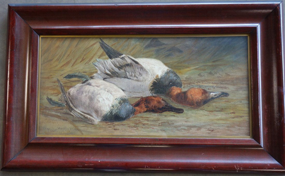 Sporting W/C T. M. Martin - shot redhead ducks. (1 of 4)
