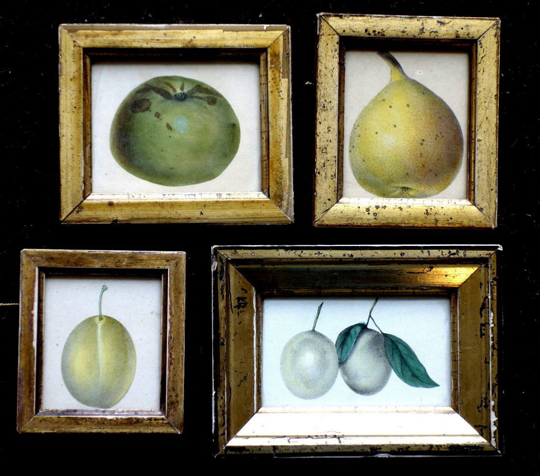 Grouping of 4 miniature hand colored fruit prints in (1 of 2)