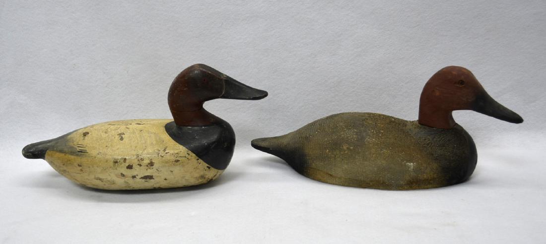Two decoys including canvas back in original paint, (1 of 9)
