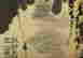 item-88044644=4