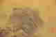 item-93254976=4