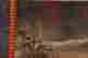 item-102240279=4