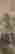 item-102240291=2