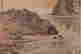 item-102240303=4