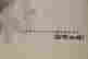 item-102240312=2