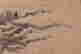 item-102240515=4