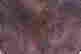 item-102266908=12