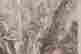 item-102266940=4