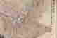 item-102267047=4