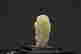 item-108278114=4