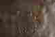 item-108278177=9