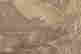 item-128401608=4