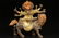 A Chinese Gilt Bronze Figure of Buddha - 7