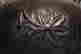 item-121469155=2