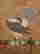 item-130975054=5