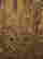 item-130975055=7